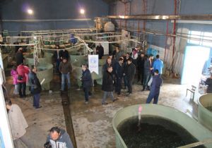 Gazeteciler EGC Balık şöleninde buluştu