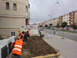 Dadaşkent'te çağdaş konsept