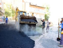 Korkut'tan mazeret açıklaması