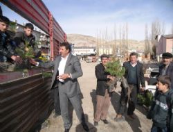 Öğrencilere ağaçlandırma teşviki