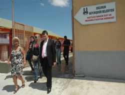 İlçe belediyelerine başıboş hayvan uyarısı