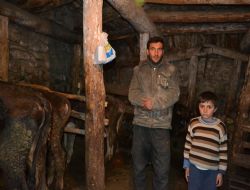 Mebusa makarna tepkisi