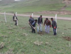 Başkan Doğan'dan örnek hizmet