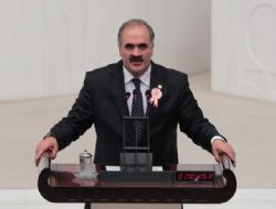 ‘Erzurum vefalı şehir'