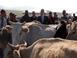 Öğüt et rekabeti başlattı
