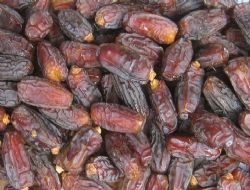 Ramazan hurması tezgaha çıktı