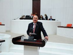 TBMM'nin de Adnan abisi oldu