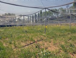 Organik tarıma üniversite desteği