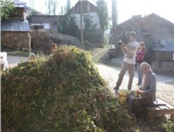 Agro Turizme İlk Adım