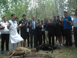 Büyükşehir'den şampiyonluk duası