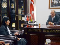 Çığlık'tan hızlı tren değerlendirmesi