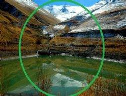 Ejder'de kartpostallık görüntü