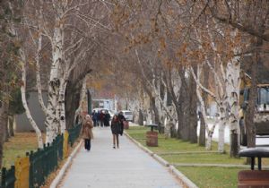 Dadaşlardan Erdoğan'a destek