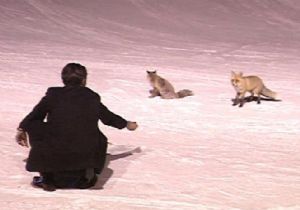 Aç tilkiler Palandöken'in maskotu oldu