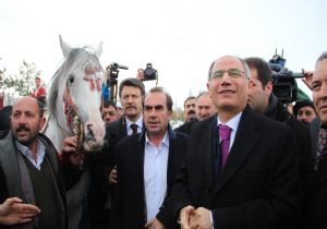 Ala'yı ciritçiler karşıladı