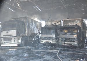 Altıparmak, yangın yerinde incelemelerde bulundu