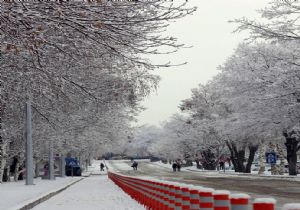 Erzurum'a yılın ilk karı düştü