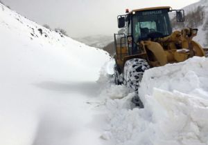 Büyükşehir'den çığ mesaisi