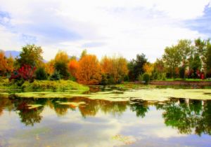 ATA Botanik Park'ta sonbahar başka güzel