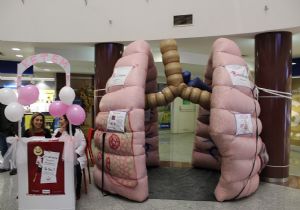 Erzurum'da Koca Ciğer Projesi