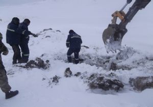 Hizmette engel tanımıyorlar