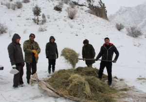 TEMA üyelerinden doğal yaşama destek