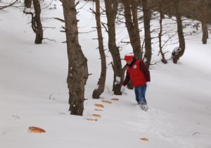 ‘Onlar bize emanet'