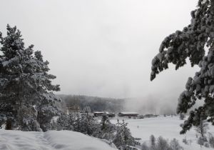 Ormanağzı'nda görsel şölen