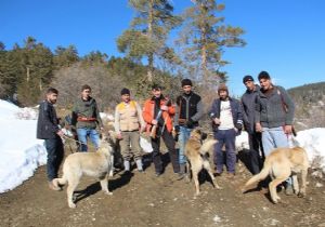 Güllüce'nin kabusu oldular