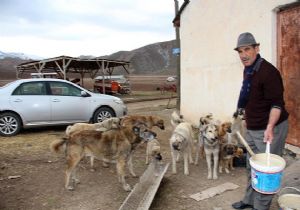 Merhamette bir dadaş örneği