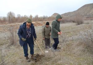 Doğaseverlerden tohumlama seferberliği
