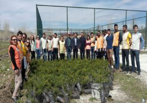 Bin fidanı toprakla buluşturdular