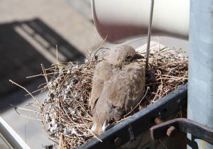 İtfaiye seferber oldu..