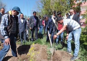 Umut Çiçekleri'nden ağaçlandırma seferberliği