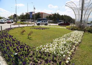 Büyükşehir çevre rekoruna hazırlanıyor