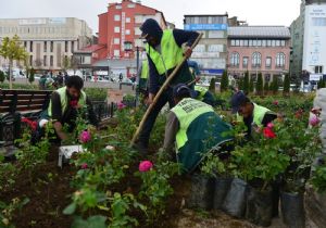 Yakutiye Belediyesi 5 bin ağaç dikti