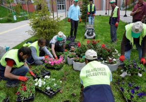 Palandöken çiçek bahçesi gibi