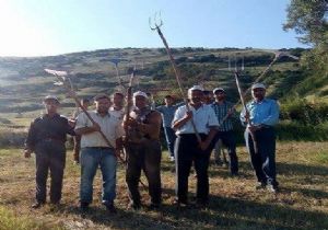 Erzurum Yaylalarında dirgenli nöbet