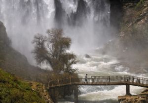 4 bin eser yarıştı, 33 eser kazandı