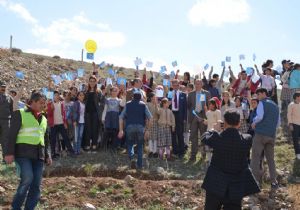 Diktikleri ağaçlara isimlerini verdiler