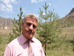 DİVA-SEN vizyon büyüttü