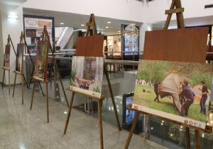 ‘81 İlde Ailem Var' Projesinde sergili tanıtım
