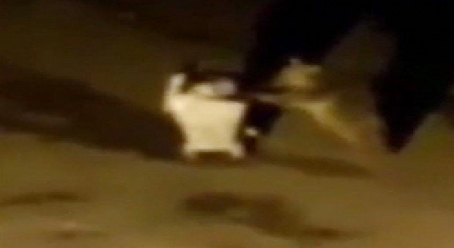 Aç kalan yavru ayı çöp konteynerini aldı gitti