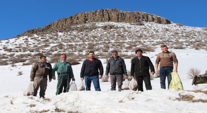 Aile hekiminden yaban hayatına destek