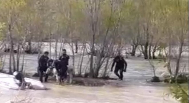 Aras Nehri'ne düşen danayı AFAD kurtardı