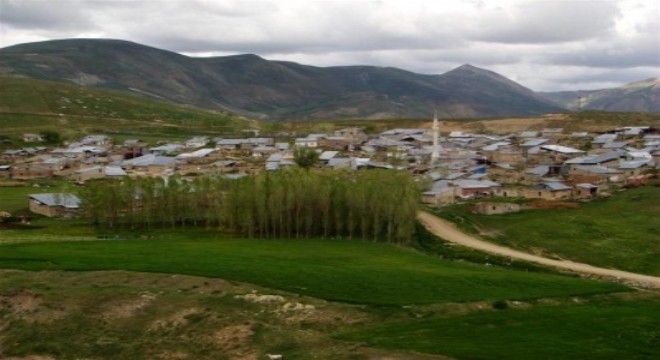 Aşkale Koşapınar'da yangın