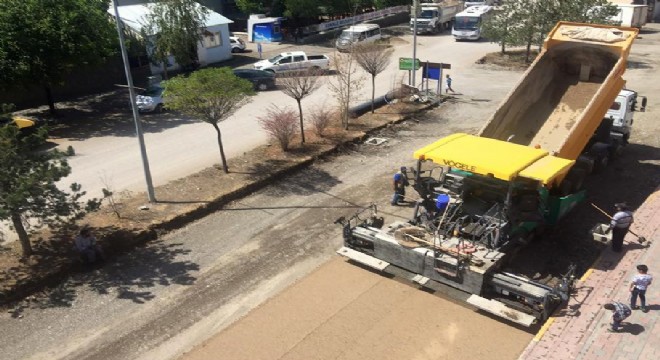 Aşkale'de Büyükşehir vizyonu