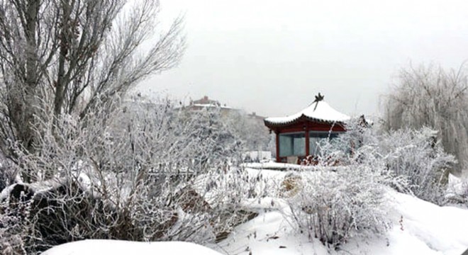 Avrupa'da benzeri yok