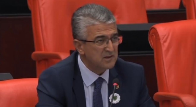 Aydın, sel afetini TBMM'ye taşıdı