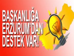 Erzurum'dan Başkanlık sistemine destek!